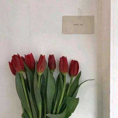 斗魂万年魂环游戏